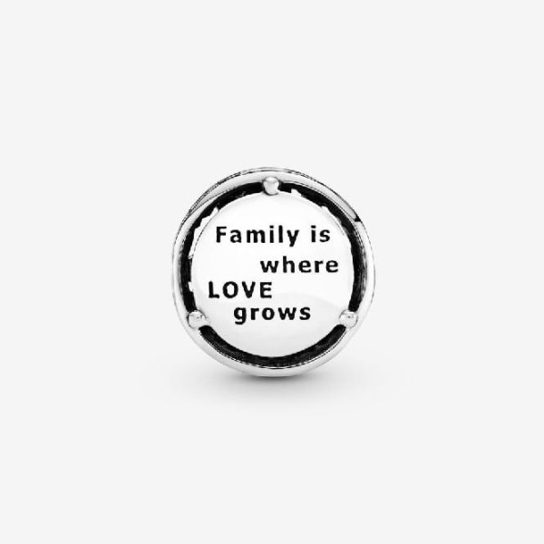 Harjakattoiset Perheen Juuret Hurmaavat Pandora Suomi